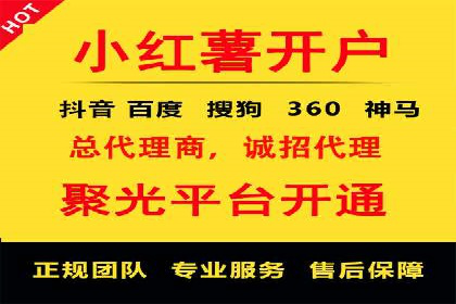 SEM竞价实战：成功案例解析